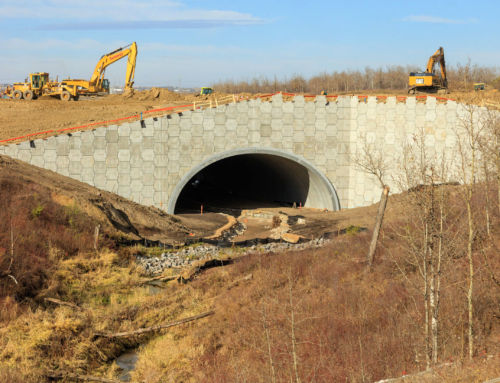 Reinforced Earth® Headwalls for Wildlife Crossing